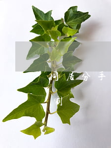 同居分手，房產(chǎn)怎么分割，如何分割？
